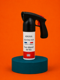 Extincteur incendie 500ML